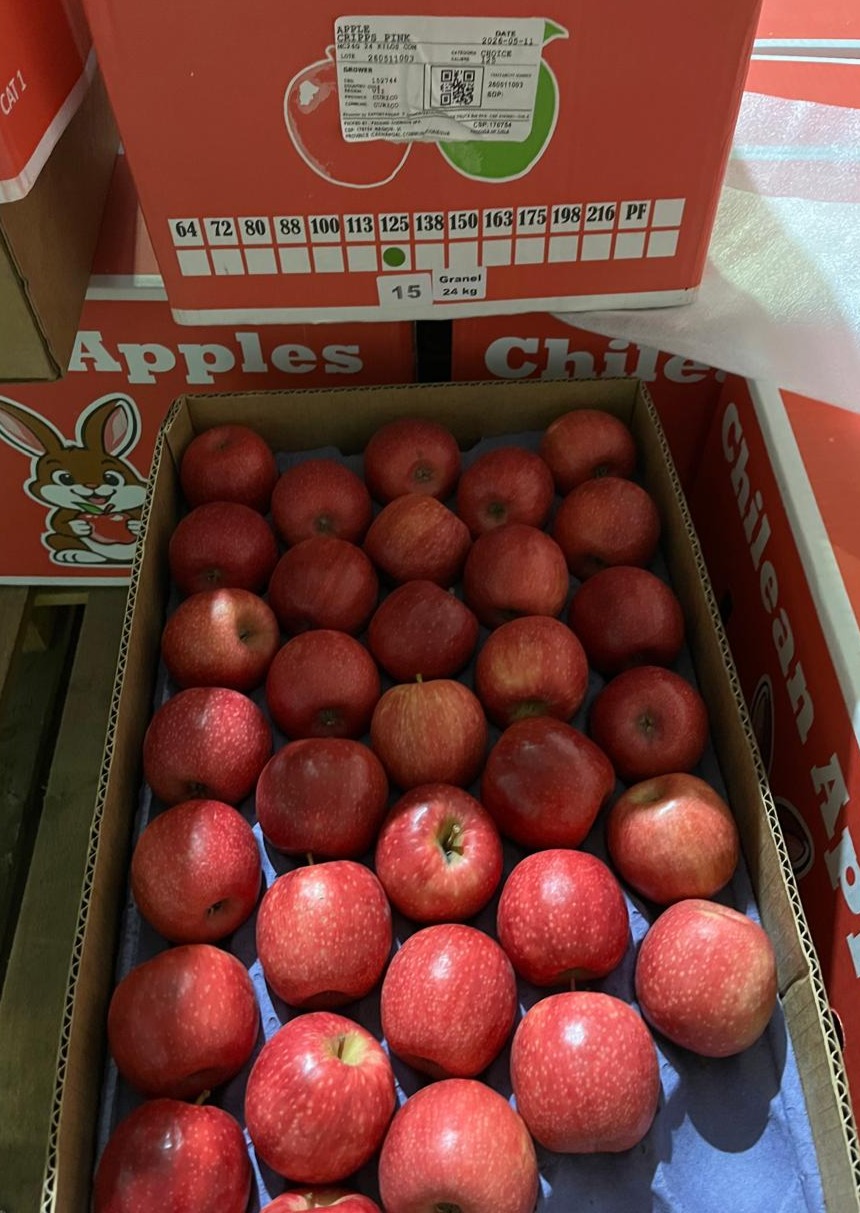 Manzana CRP Pink