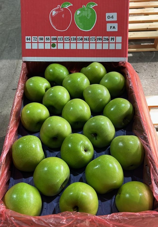 Manzana Granny Cat